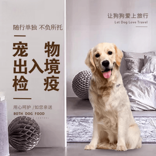 七台河市宠物托运到哥伦比亚猫狗宠物入境规定和