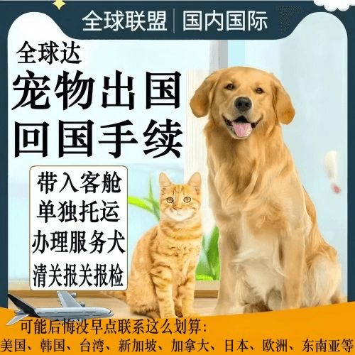 七台河市宠物托运到柬埔寨宠物入境规定和要求