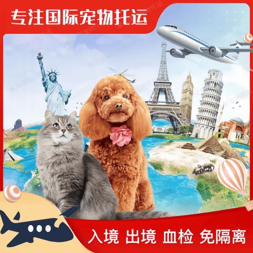 七台河市宠物托运到美国宠物入境最新规定和要求